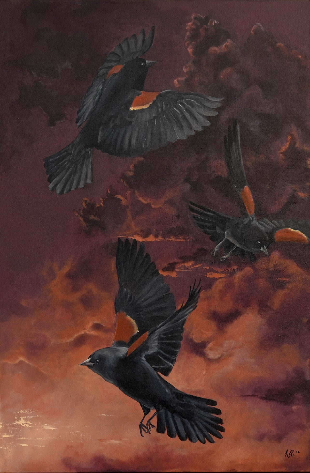 Red-Winged Blackbirds