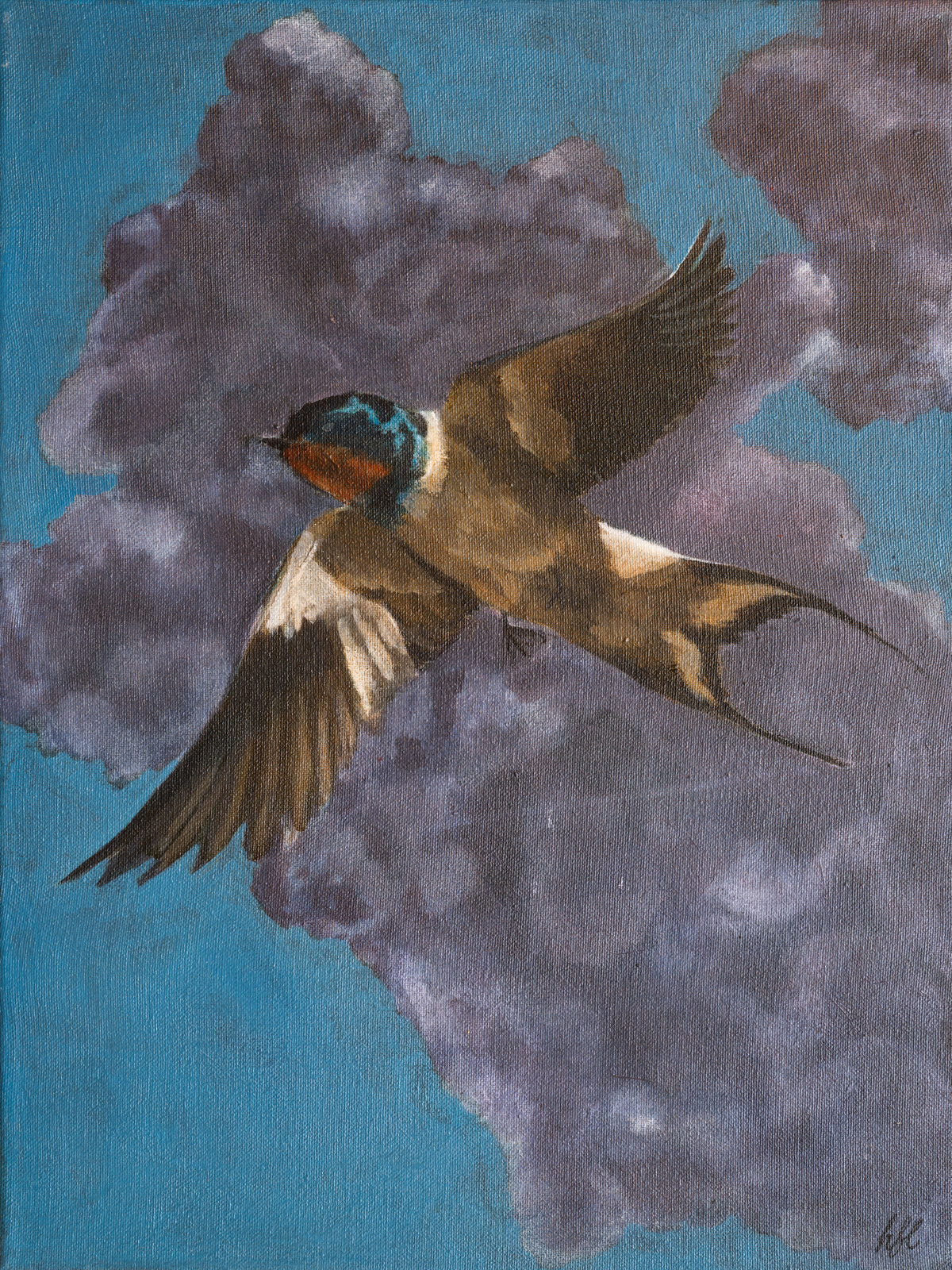 Swallow I