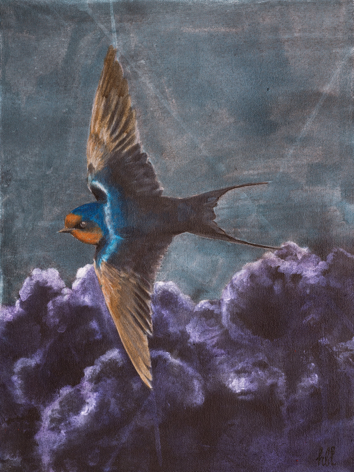 Swallow IV