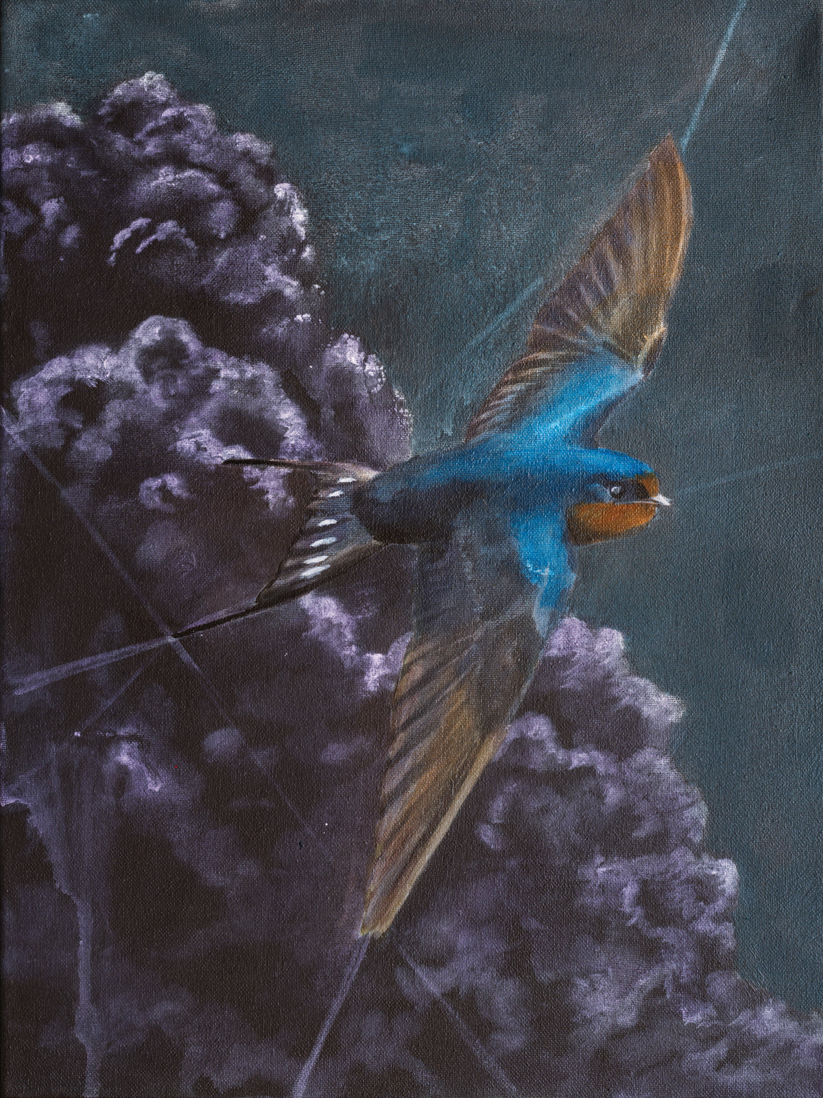 Swallow VI