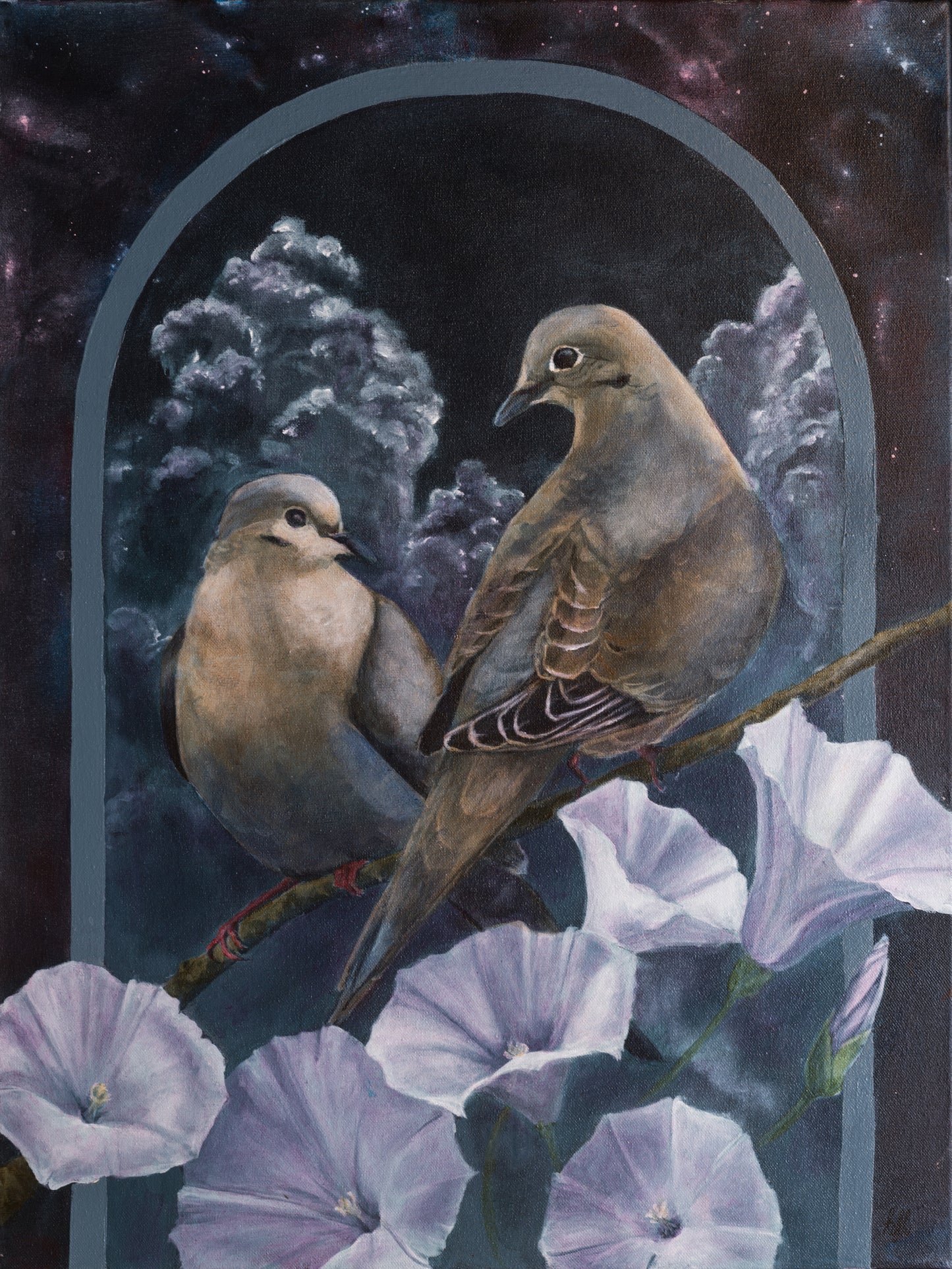 Mourning Doves