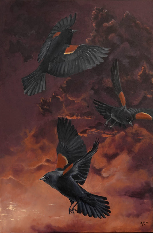 Red-Winged Blackbirds