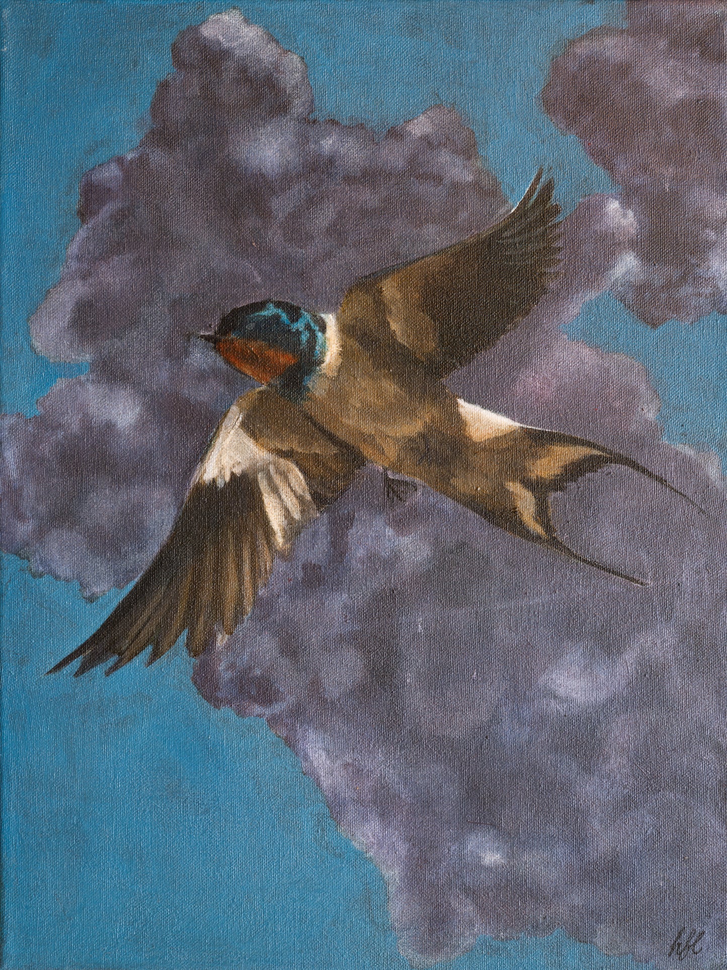 Swallow I