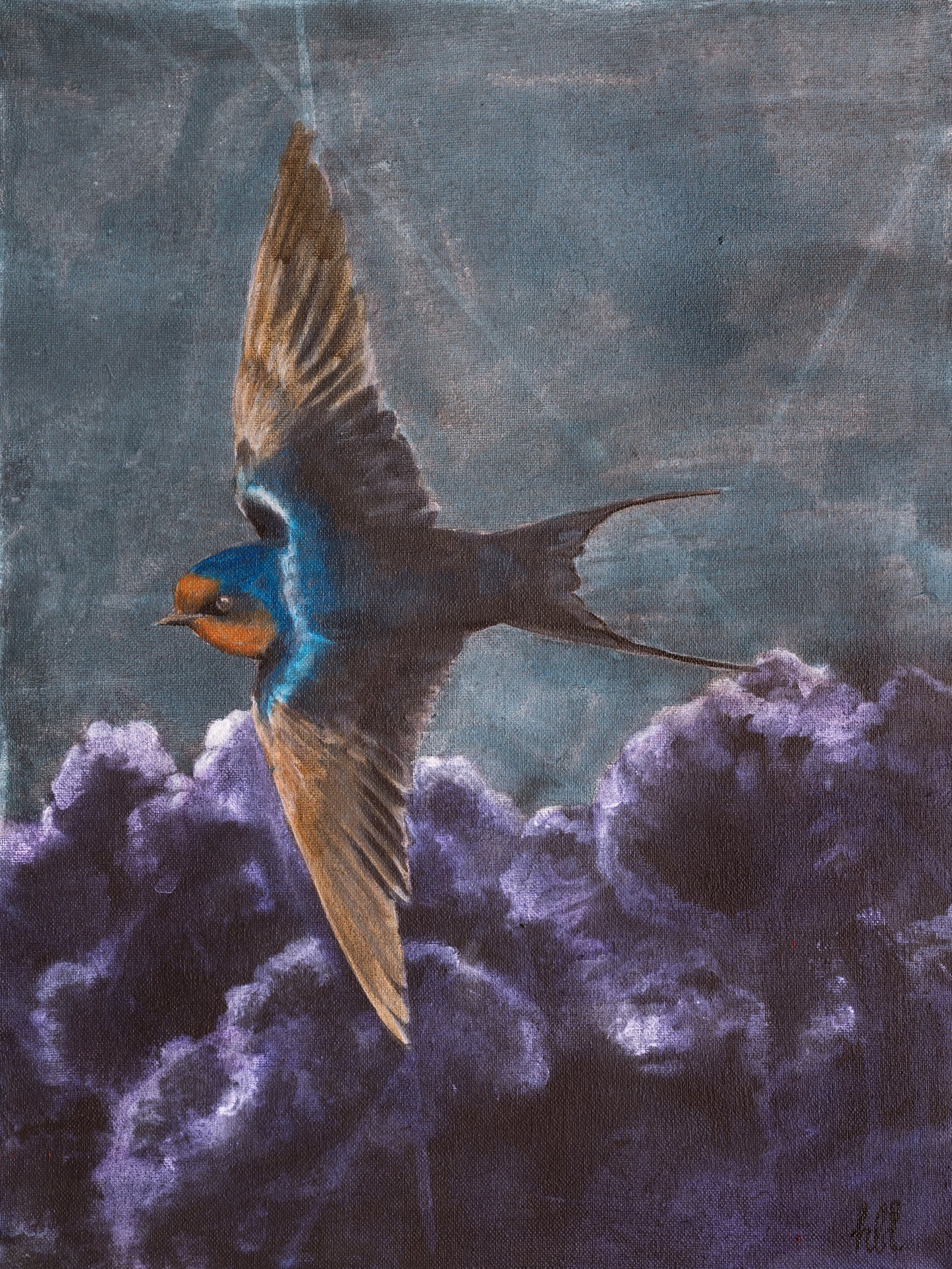 Swallow IV